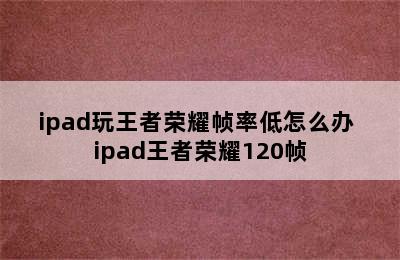 ipad玩王者荣耀帧率低怎么办 ipad王者荣耀120帧